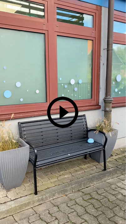 Video abspielen